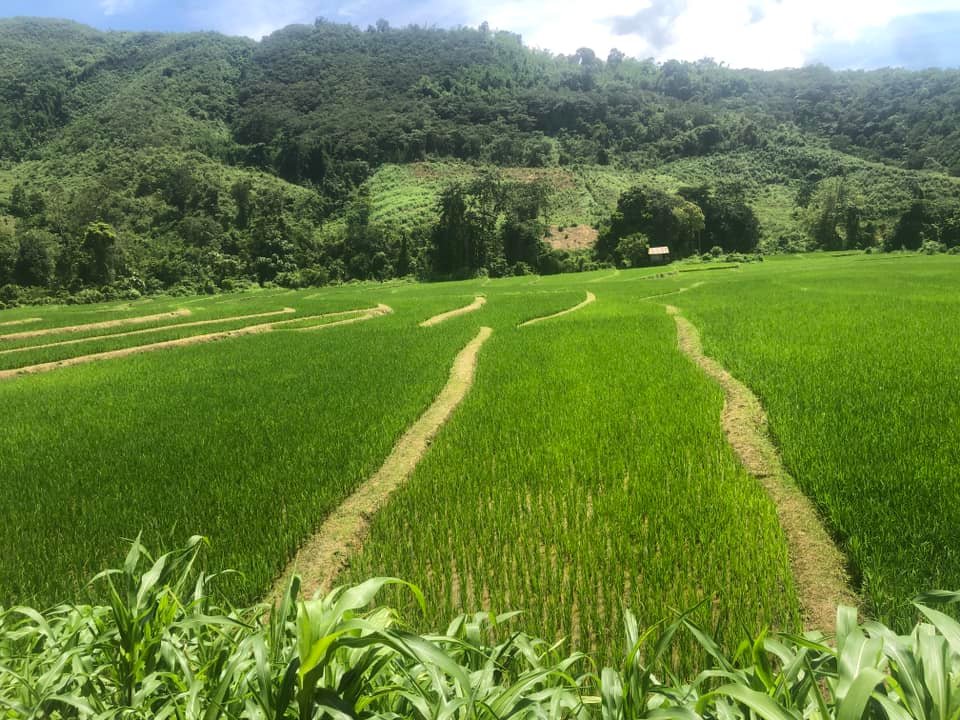Hanoi to Luang Prabang Bike Tour: Discover Southeast Asia’s Beauty with Golden Cycling Tours